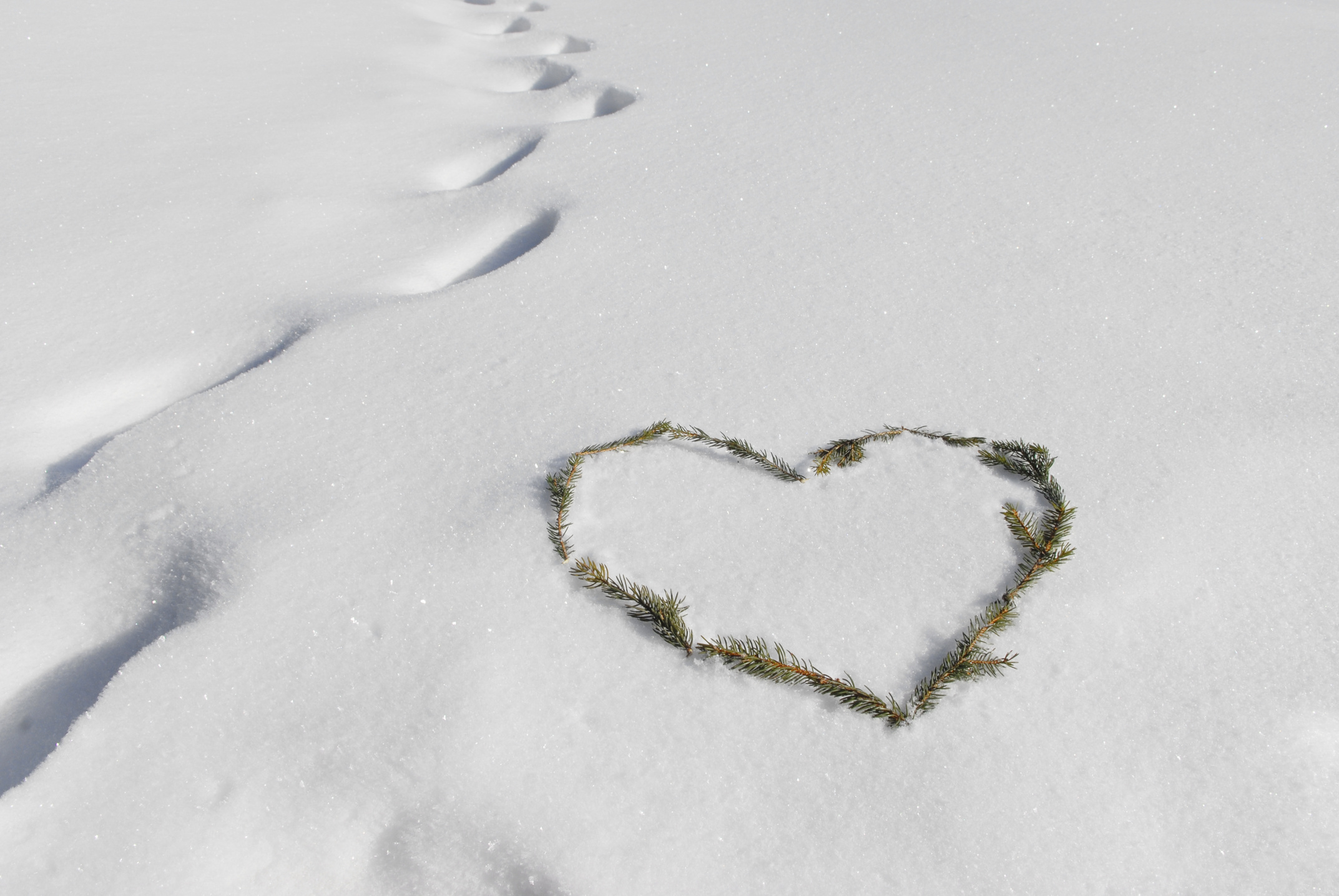 valentines nature heart